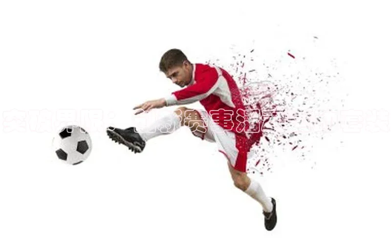 杏宇平台代理注册