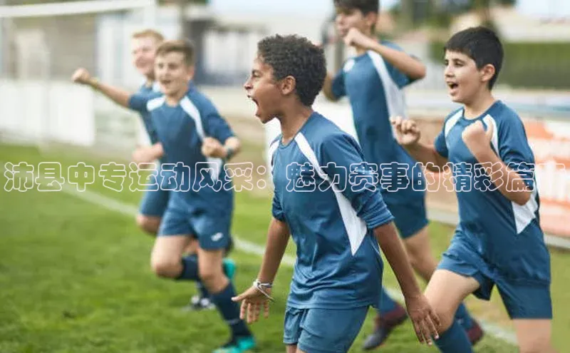 杏宇娱乐app官方下载