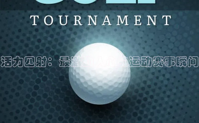 杏宇代理登录中心