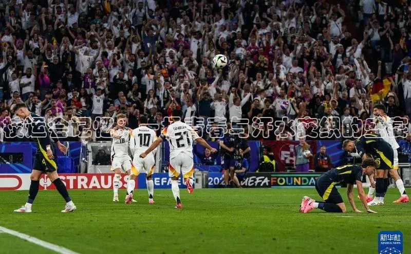 杏宇平台登录入口2024最新版