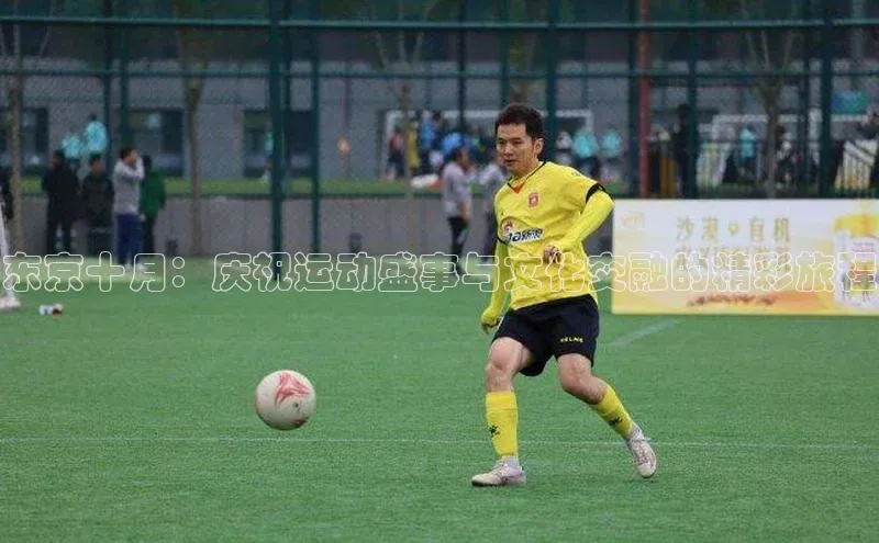 杏宇平台登录入口注册账号