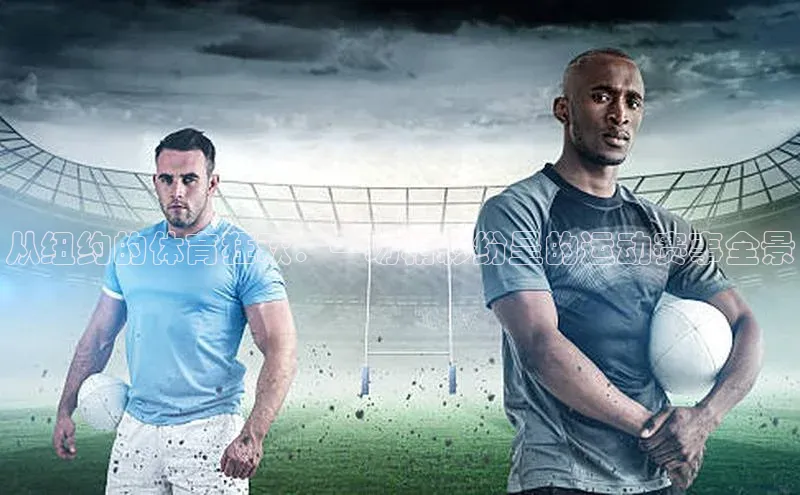 杏宇代理登录中心