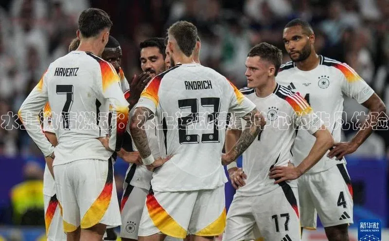 杏宇平台登录入口注册账号