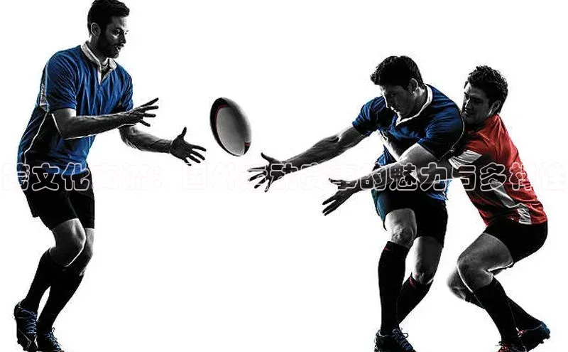 杏宇平台代理注册