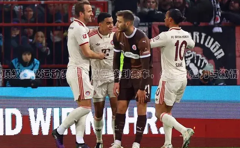 杏宇平台登录入口2024最新版