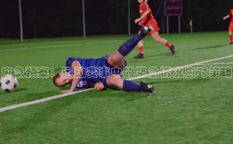 杏宇平台登录入口2024最新版