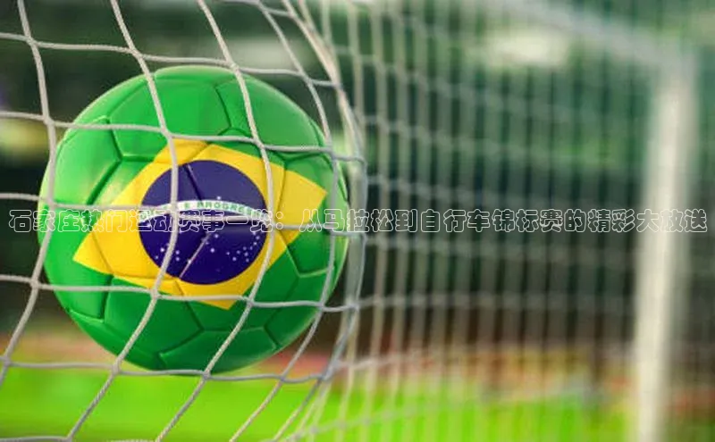 杏宇代理登录中心