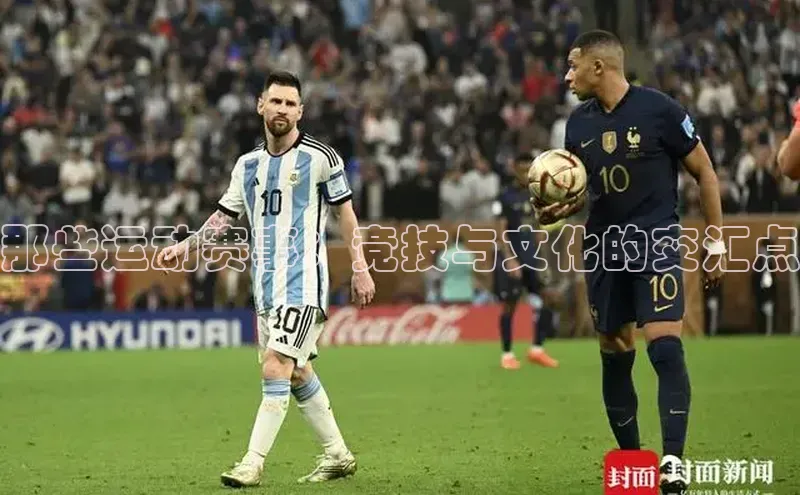 杏宇平台登录官网