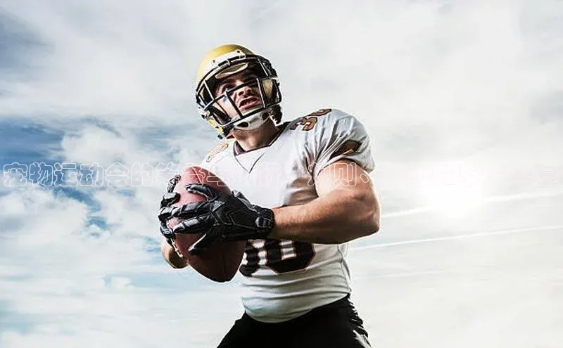 杏宇手游官网入口最新版本更新内容