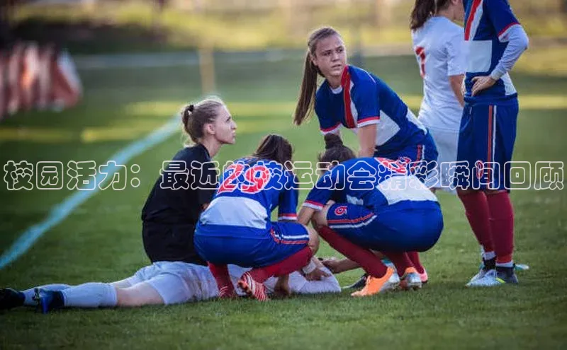 杏宇游戏中心官网入口