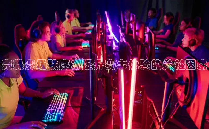 杏宇平台直属
